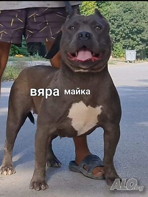 image_6
