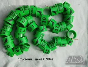пръстени за гълъби и птици