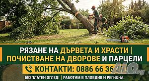 Рязане на дървета и храсти | Почистване на дворове и парцели