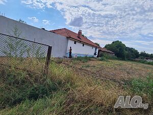 image_10