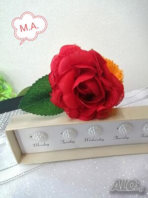 image_5