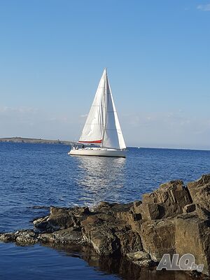 image_12