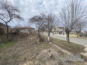 image_5