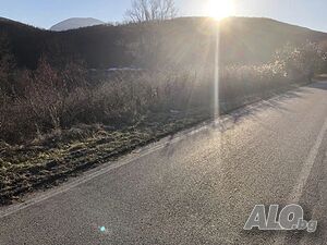 image_6