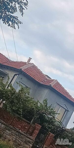 image_14