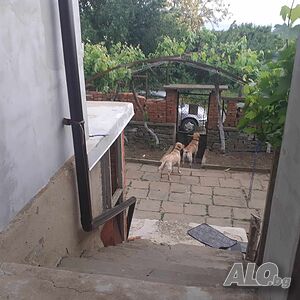 image_15