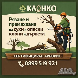 Премахване на опасни клони и дървета | Резитба | Грижа за дърветата