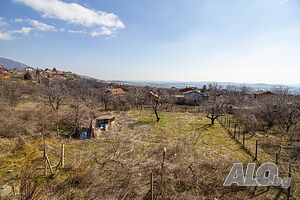image_8