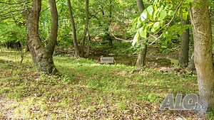 image_3