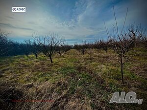 image_11