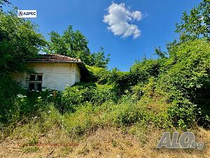 48 кв.м РЗП 2420 кв.м двор