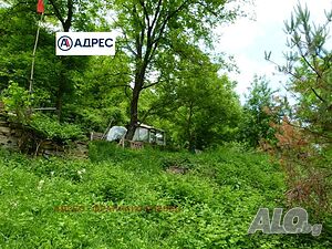 image_5