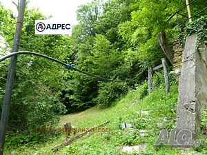 image_6