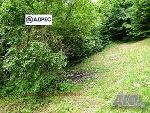 image_7