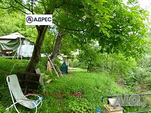 image_9