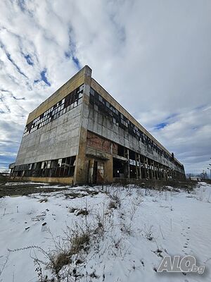 image_8
