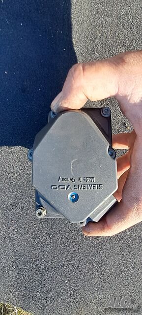 image_7