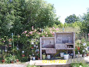 image_6