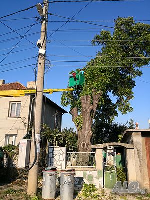 image_5
