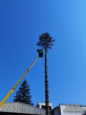 image_7