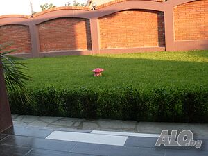 image_4