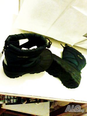image_8