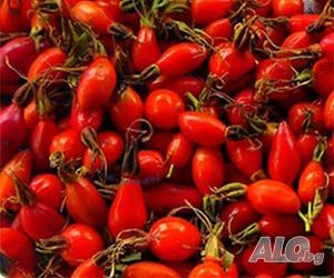 БИО-Шипки сушени за лечебен чай и шипково вино - по 1 кг в хартиени пликове