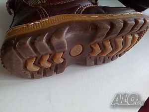 image_6