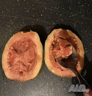 image_5