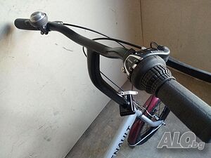 image_9