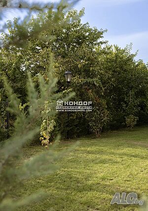 image_7