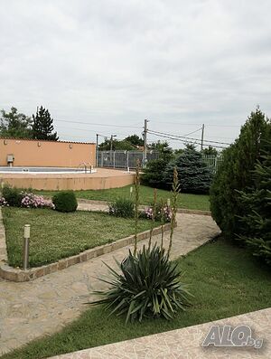 image_5