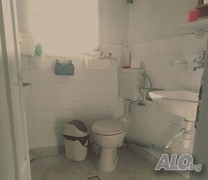image_11