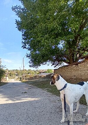 image_2