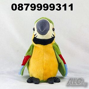 image_2