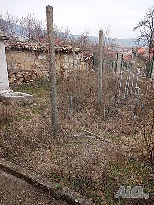 image_10