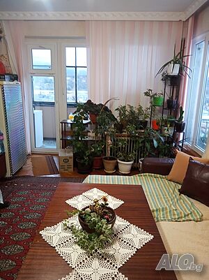 image_2