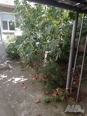 image_11