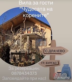 Вила за гости “Чудесата на корените”