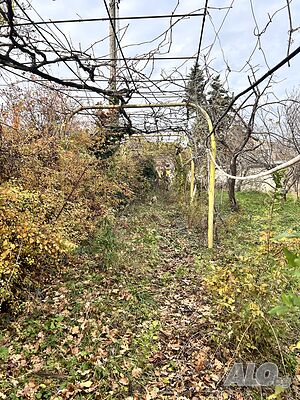 image_11