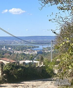 image_2