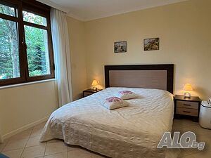 image_12