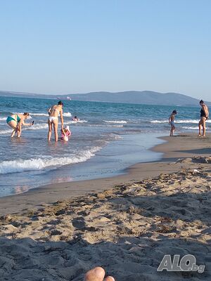 image_11