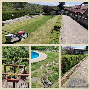 image_3