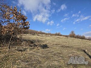 image_7