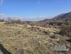 image_8