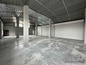 image_6