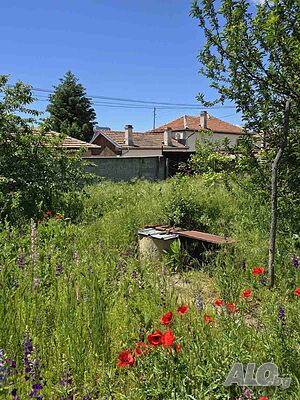 image_13