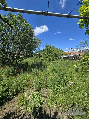 image_15