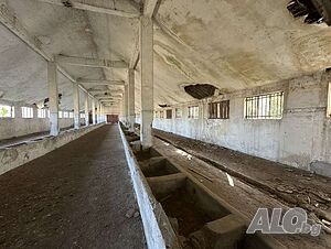 image_4